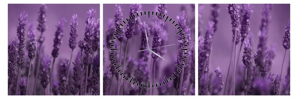 Tablou - Lavanda (cu ceas) (90x30 cm)