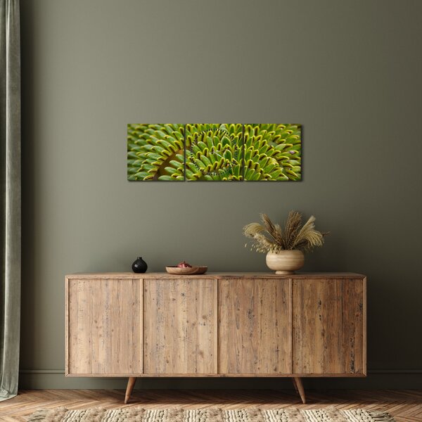 Tablou - Fern (cu ceas) (90x30 cm)