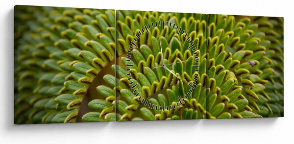 Tablou - Fern (cu ceas) (90x30 cm)