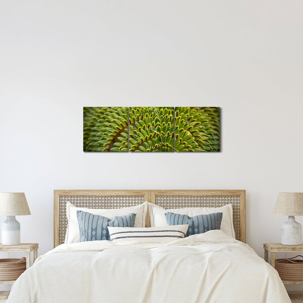 Tablou - Fern (cu ceas) (90x30 cm)