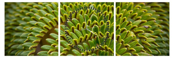 Tablou - Fern (cu ceas) (90x30 cm)