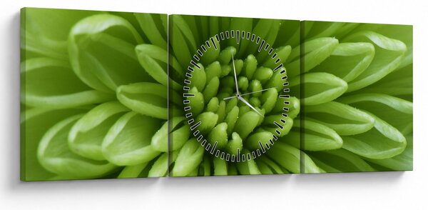 Tablou - Imagine macro a unei plante (cu ceas) (90x30 cm)