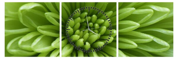 Tablou - Imagine macro a unei plante (cu ceas) (90x30 cm)