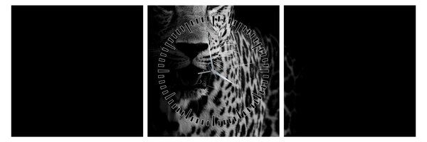 Tablou - Portret de leopard (cu ceas) (90x30 cm)