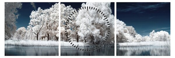 Tablou - Albă ca Zăpada Albă ca Zăpada Copaci (cu ceas) (90x30 cm)