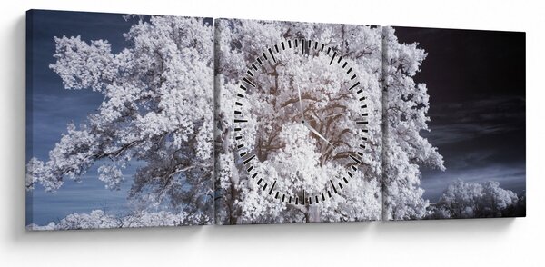 Tablou - Albă ca Zăpada Copac (cu ceas) (90x30 cm)