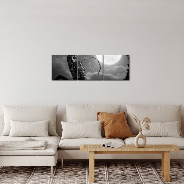 Tablou - Bufniță de noapte, alb și negru (cu ceas) (90x30 cm)