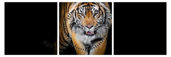 Tablou - Tiger (cu ceas) (90x30 cm)