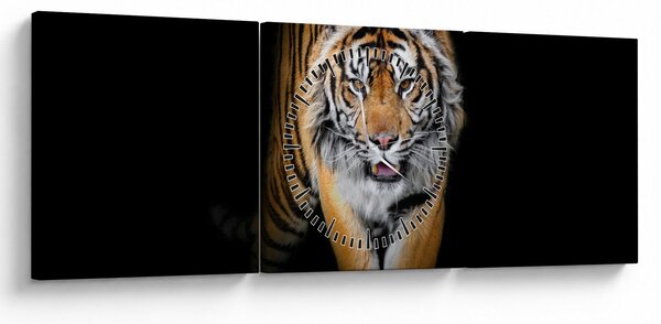 Tablou - Tiger (cu ceas) (90x30 cm)
