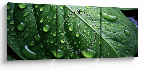 Tablou - Detaliu de frunze după ploaie (cu ceas) (90x30 cm)