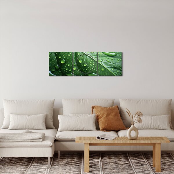 Tablou - Detaliu de frunze după ploaie (cu ceas) (90x30 cm)