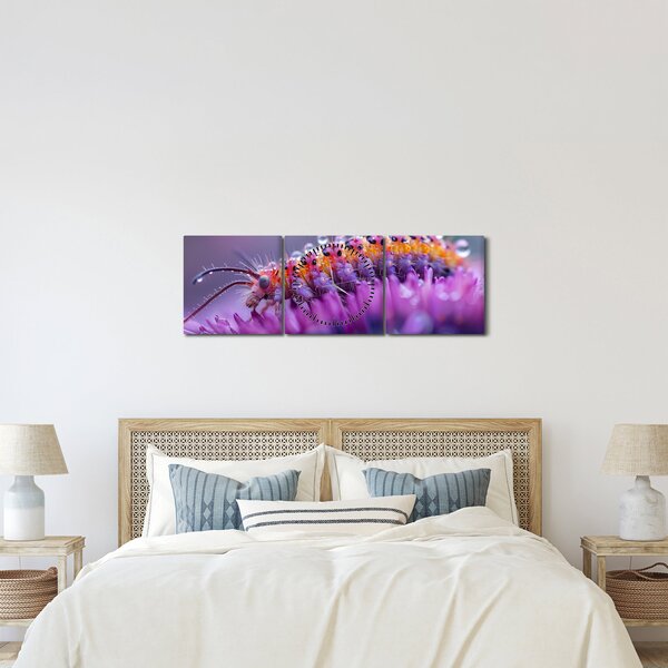 Tablou - Caterpillar (cu ceas) (90x30 cm)
