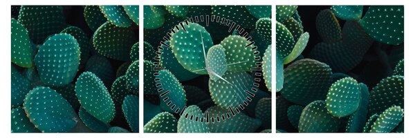Tablou - Opuntia (cu ceas) (90x30 cm)