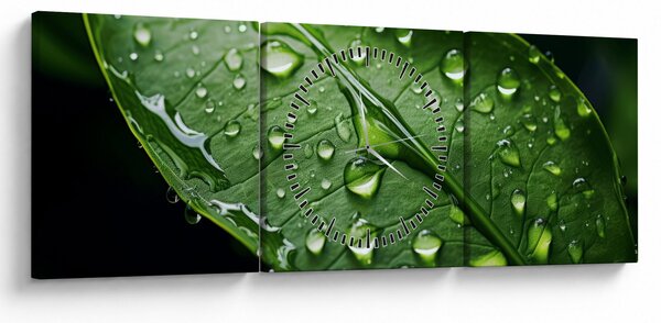 Tablou - Frunză după ploaie (cu ceas) (90x30 cm)