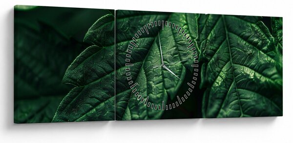 Tablou - Detaliu al foii (cu ceas) (90x30 cm)