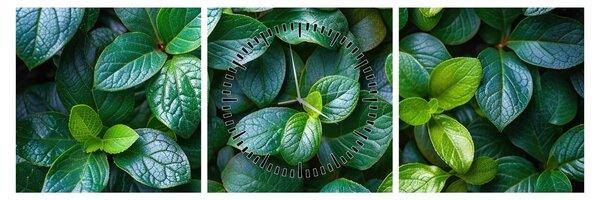 Tablou - Plante verzi (cu ceas) (90x30 cm)