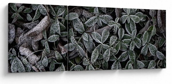 Tablou - Plante înghețate (cu ceas) (90x30 cm)