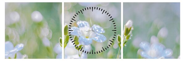 Tablou - Flori delicate (cu ceas) (90x30 cm)