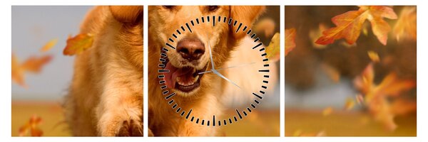 Tablou - Golden Retriever (cu ceas) (90x30 cm)