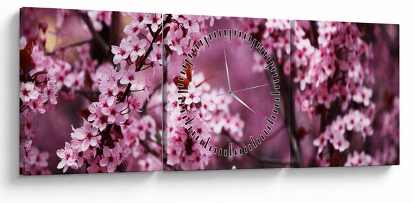 Tablou - Sakura roz (cu ceas) (90x30 cm)