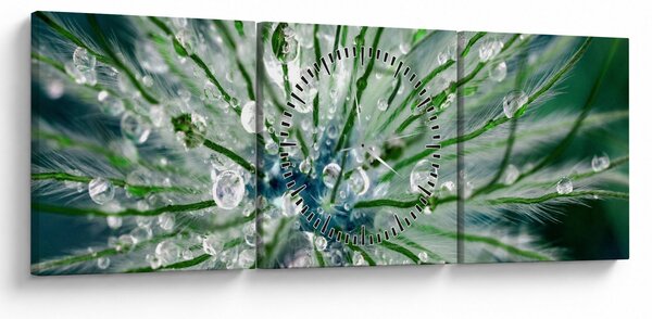 Tablou - Imagine macro a unei flori (cu ceas) (90x30 cm)