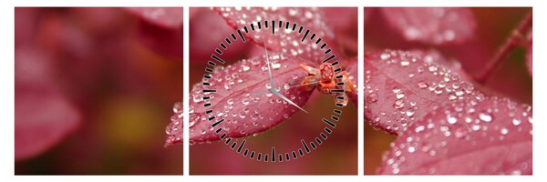 Tablou - Imagine macro a biletului (cu ceas) (90x30 cm)