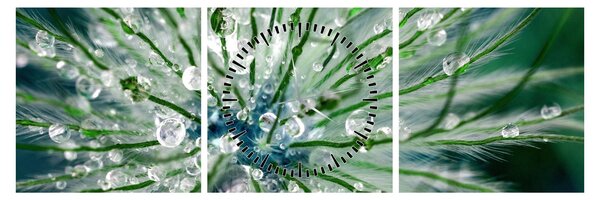 Tablou - Imagine macro a unei flori (cu ceas) (90x30 cm)