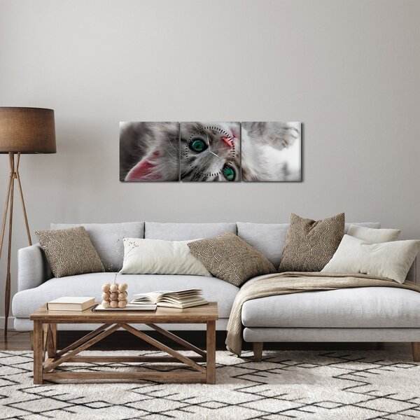 Tablou - Pisica cu ochi verzi (cu ceas) (90x30 cm)