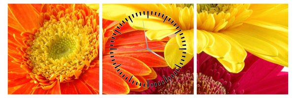 Tablou - Flori Gerbery (cu ceas) (90x30 cm)