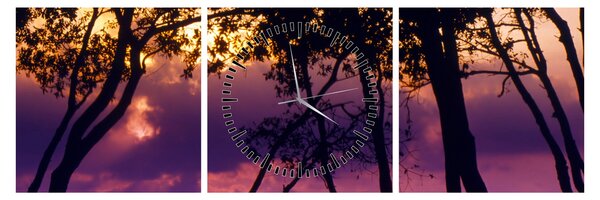 Tablou - Copaci la apus de soare (cu ceas) (90x30 cm)