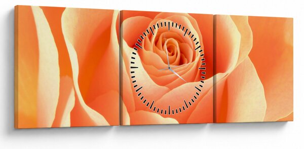 Tablou - Imaginea- Trandafiri, culoarea caisei (cu ceas) (90x30 cm)