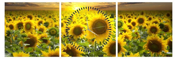 Tablou - Floarea-soarelui la apus de soare (cu ceas) (90x30 cm)