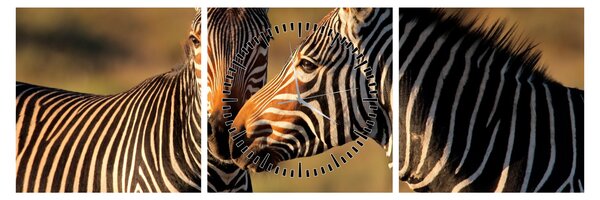 Tablou - Două zebre (cu ceas) (90x30 cm)