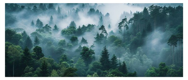 Tablou - Pădure în Ceață (120x50 cm)