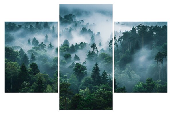 Tablou - Pădure în Ceață (90x60 cm)