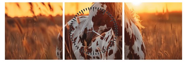 Tablou - Cal la Apus (cu ceas) (90x30 cm)