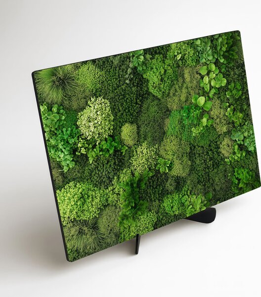 DUBLEZ | Tablou cu mușchi imprimat pentru perete | Imprimare UV premium