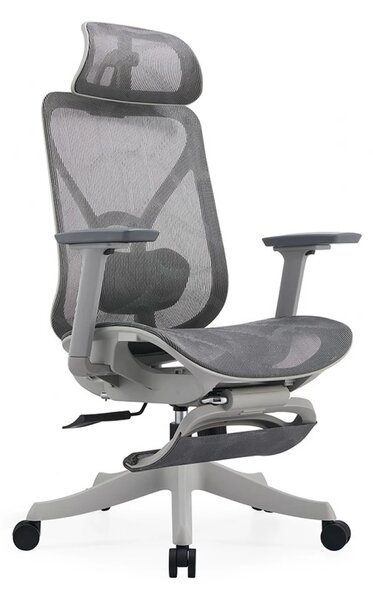 Scaun ergonomic DORO-HG-MF, pivotant, suport lombar 2D, tetiera 2D, cotiera 3D, suport picioare, reglare pe inaltime, mecanism inclinare/blocare in 3 pozitii, Mesh, Gri