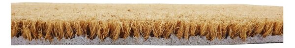 Covoraș de intrare din fibre de nucă de cocos 40x60 cm Home Sweet Home – Artsy Doormats
