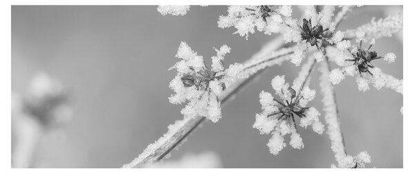 Tablou - Uzină congelată (120x50 cm)