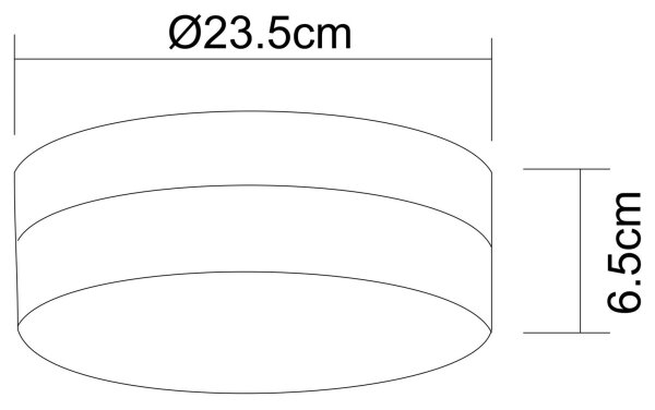 Globo 48402 - Plafoniera OPAL 2xE27/40W