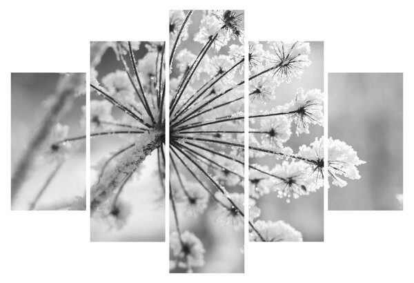 Tablou - Floare în timpul iernii (150x105 cm)