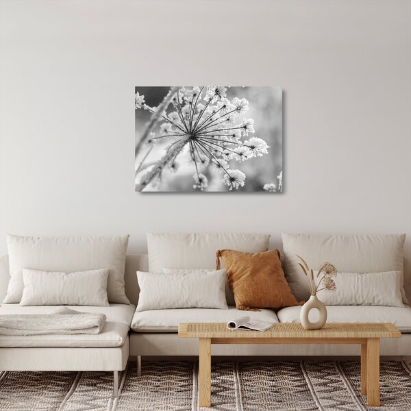 Tablou pe sticlă - Floare în timpul iernii (70x50 cm)