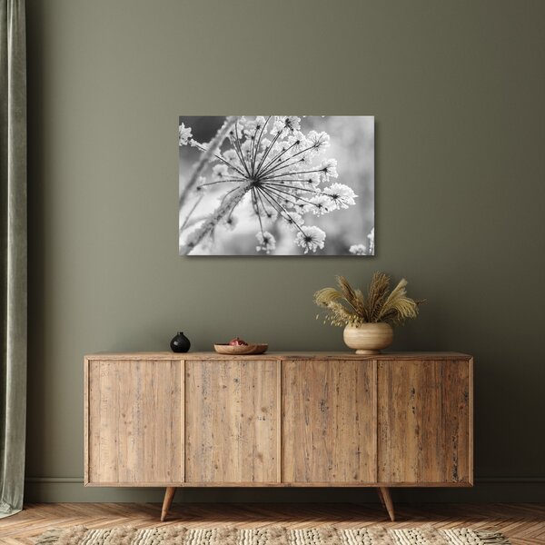 Tablou pe sticlă - Floare în timpul iernii (70x50 cm)
