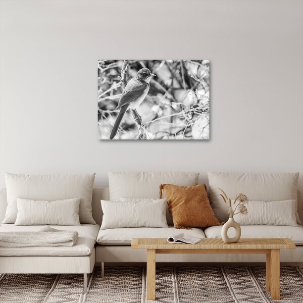 Tablou - Bluebird în timpul iernii (70x50 cm)