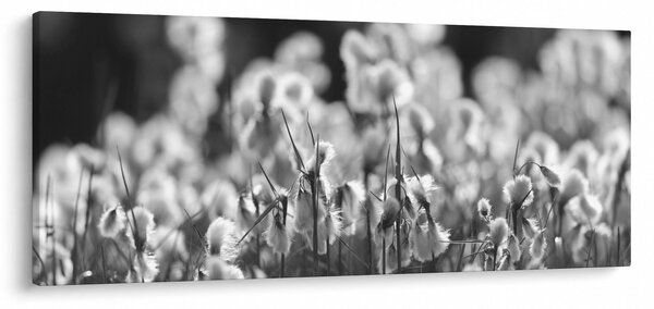 Tablou - Pajiște de vară (120x50 cm)