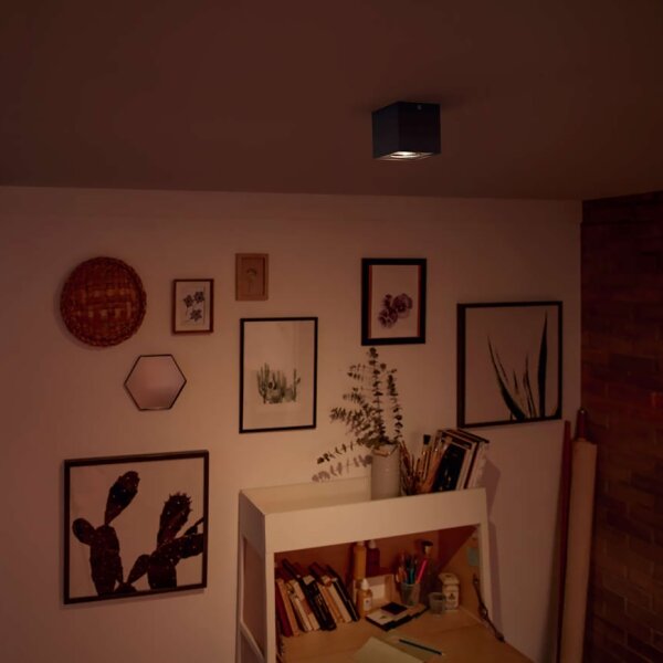 Philips 50491/30/P0 - Corp de iluminat LED dimerizabil MYLIVING BOX LED/4,5W/230V