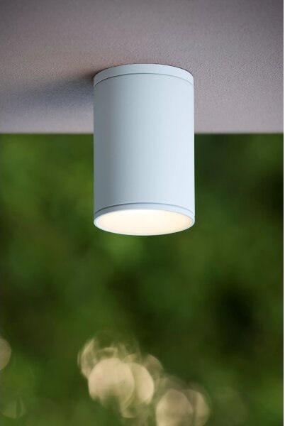 Lucide 27870/01/31 - Plafonieră baie TUBIX 1xE27/24W/230V IP54