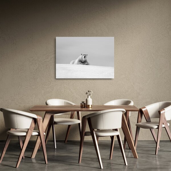 Tablou pe sticlă - Ursul polar (70x50 cm)