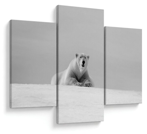 Tablou - Ursul polar (90x60 cm)